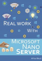 Real work with Microsoft Nano Server - termek_cimlapfoto.jpg